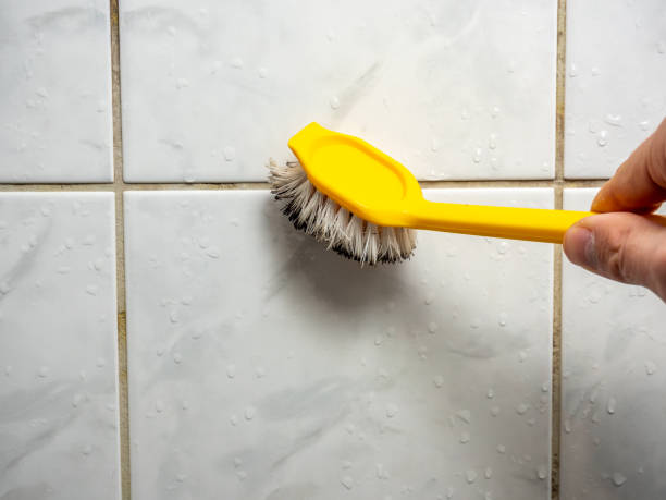 Best Bathroom Mold Remediation in Blue Ridge, GA
